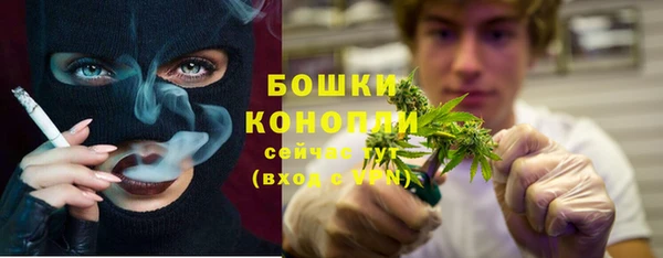 PSILOCYBIN Покров