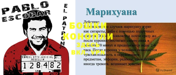 твердый Бронницы