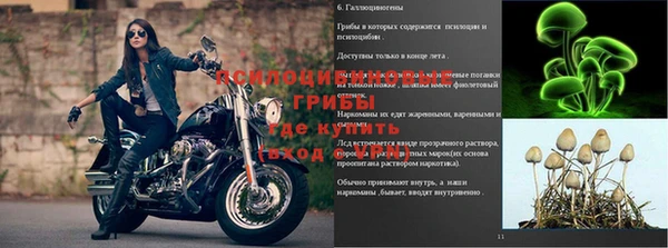 твердый Бронницы
